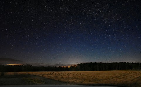 Starry night