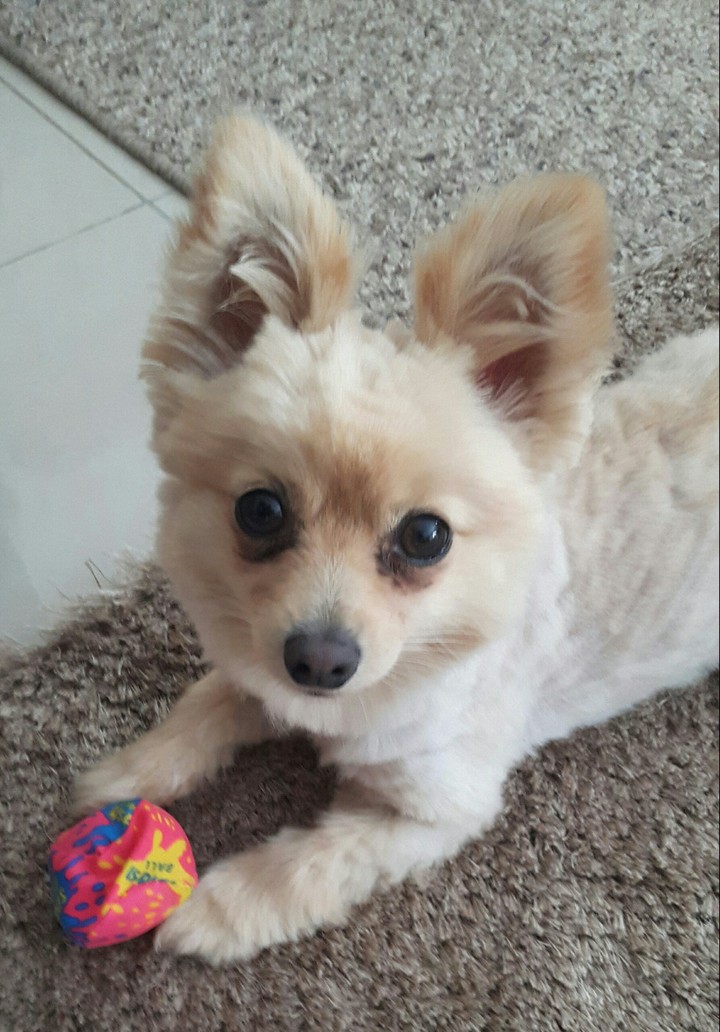 playtime!