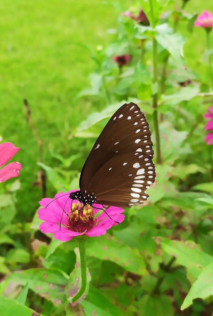 imperfect beauty