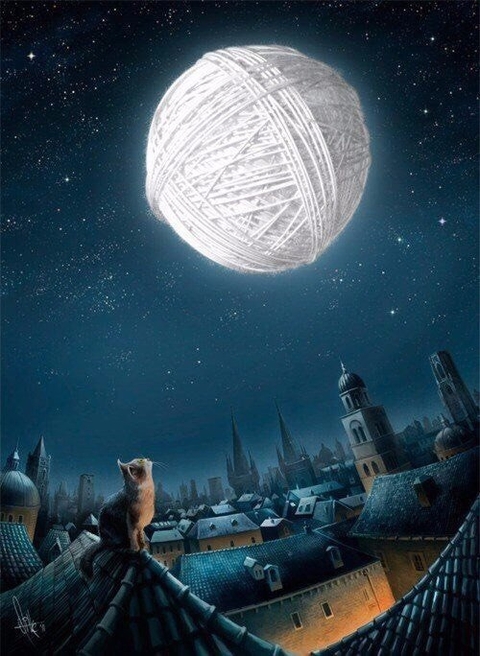 Cat on roof