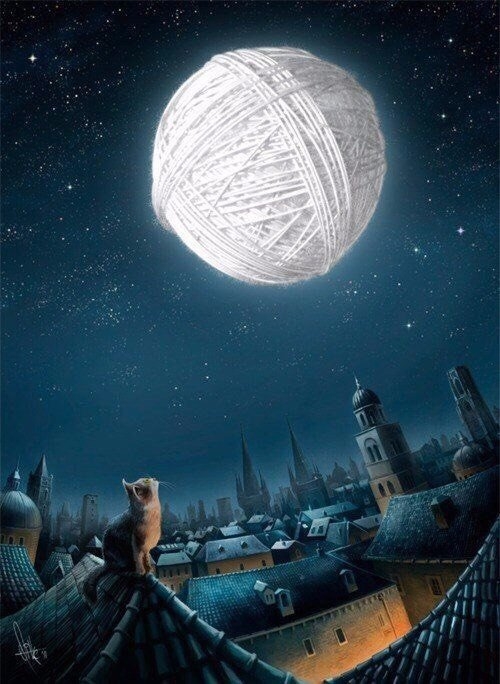Cat on roof