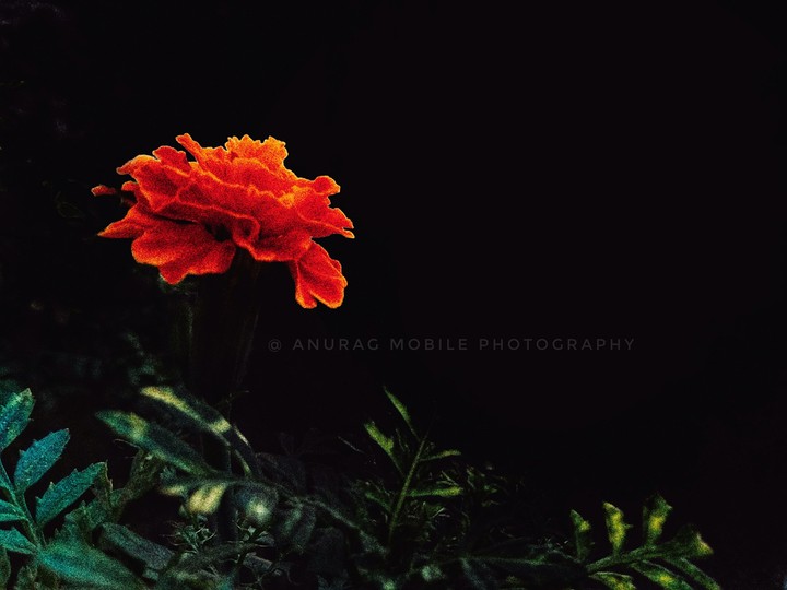 Anurag mobile photography