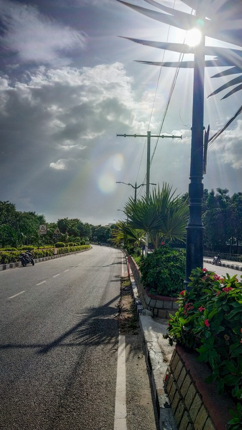 way with greenery