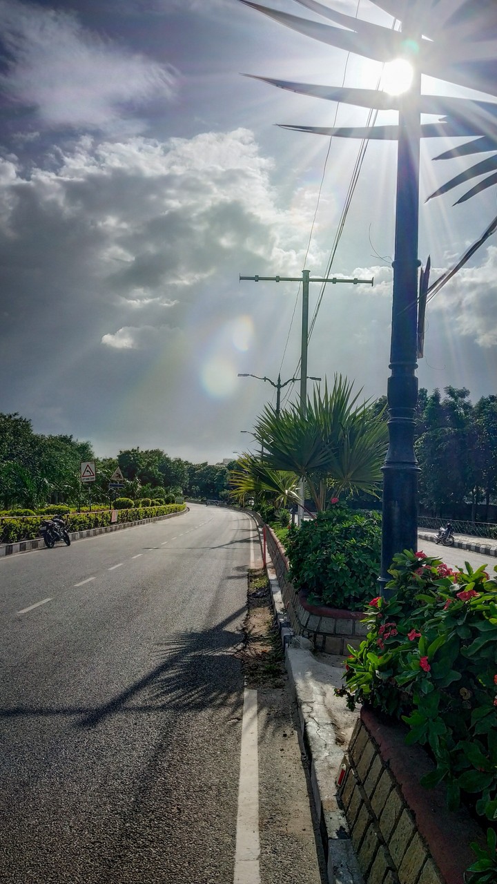way with greenery