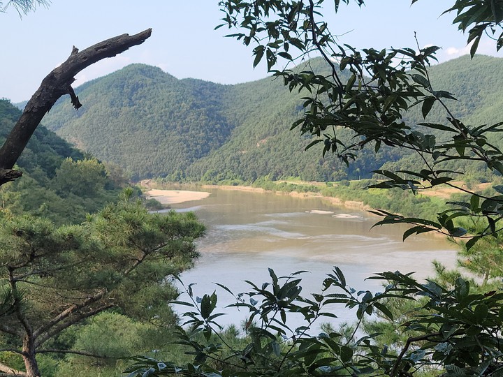 낙동강