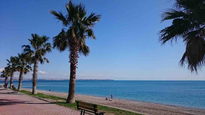 Beach