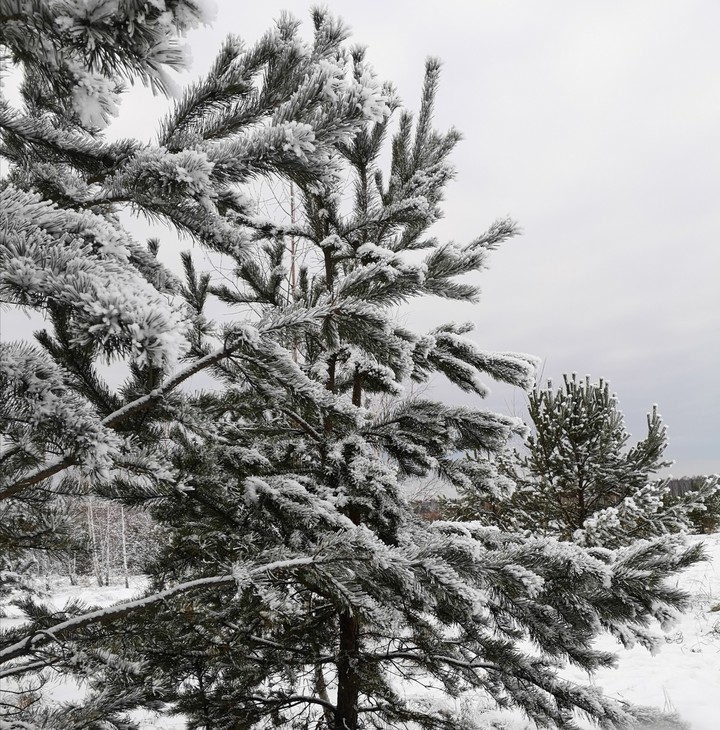winter