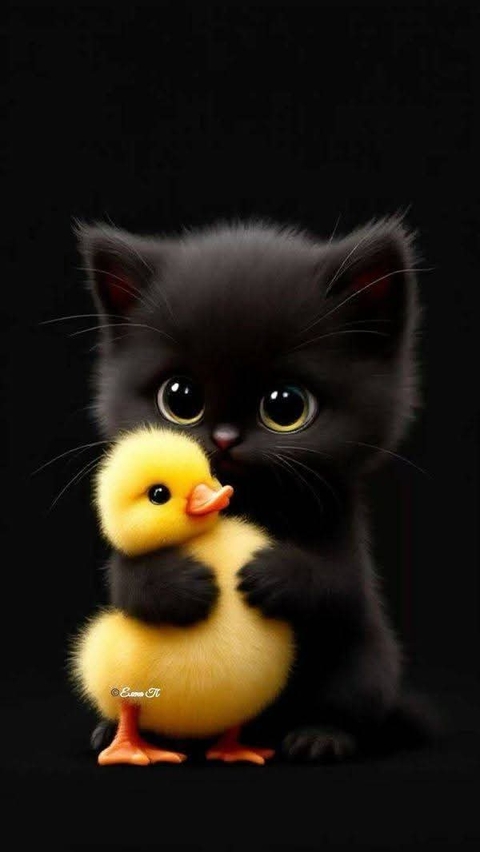 beak, whiskers Hintergrundbilder