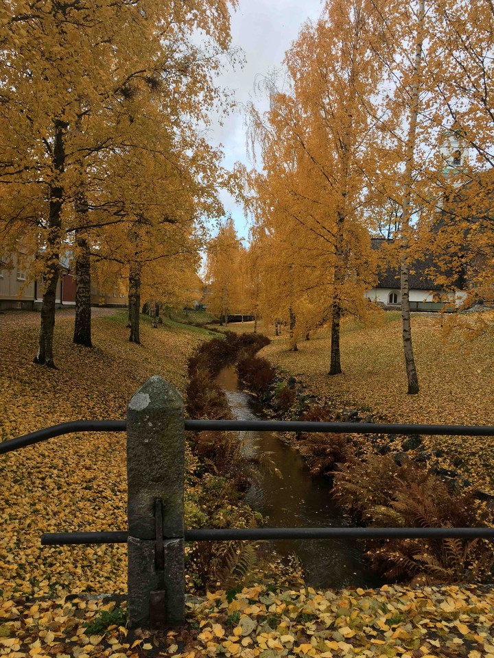autumn river