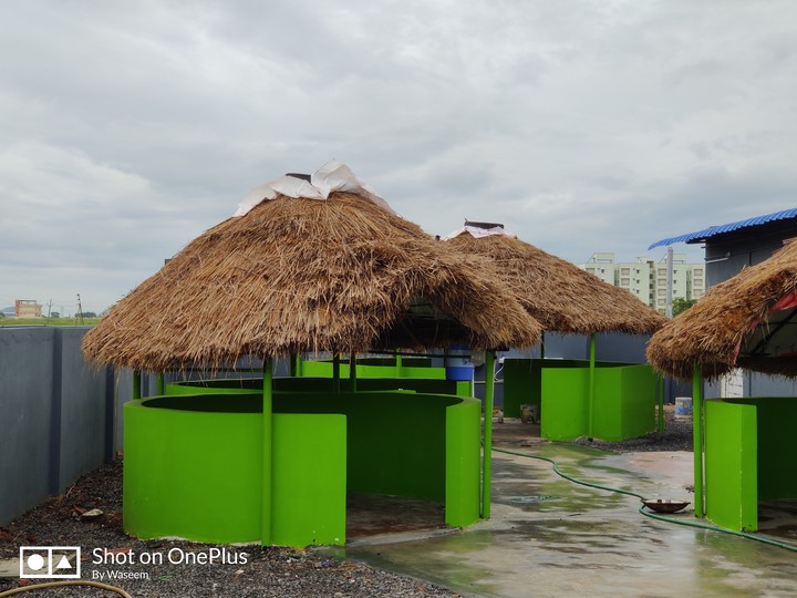 huts