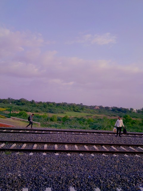 nature and rail track