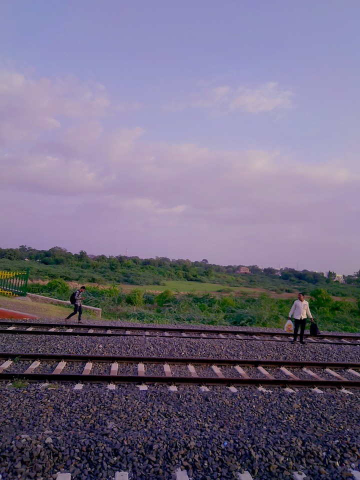 nature and rail track