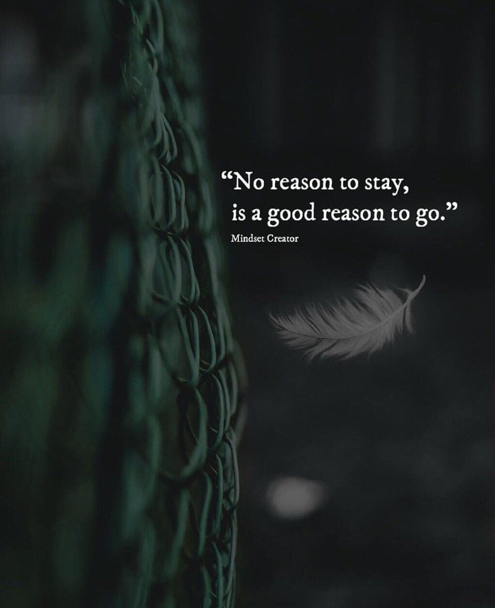 Quotes
