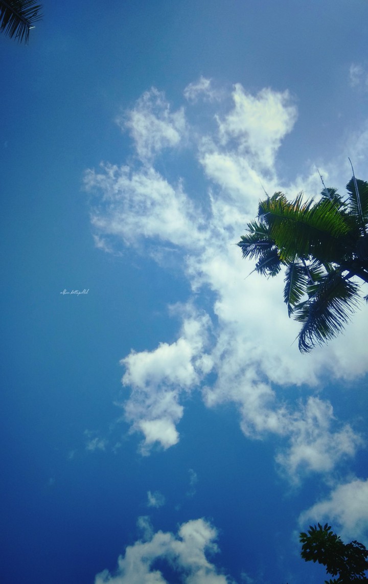Beyond the Sky