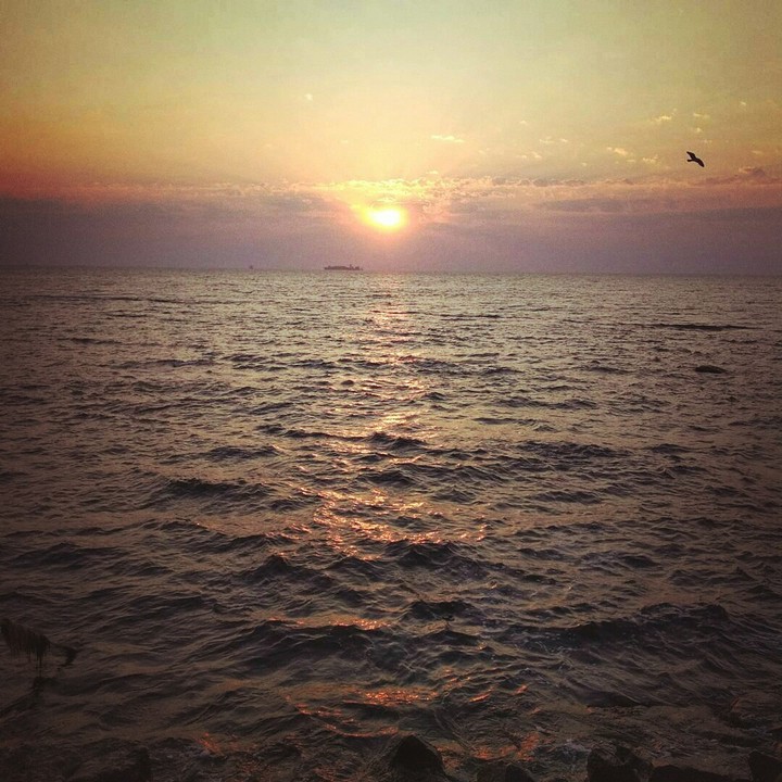 море