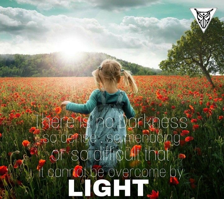 Follow the Light