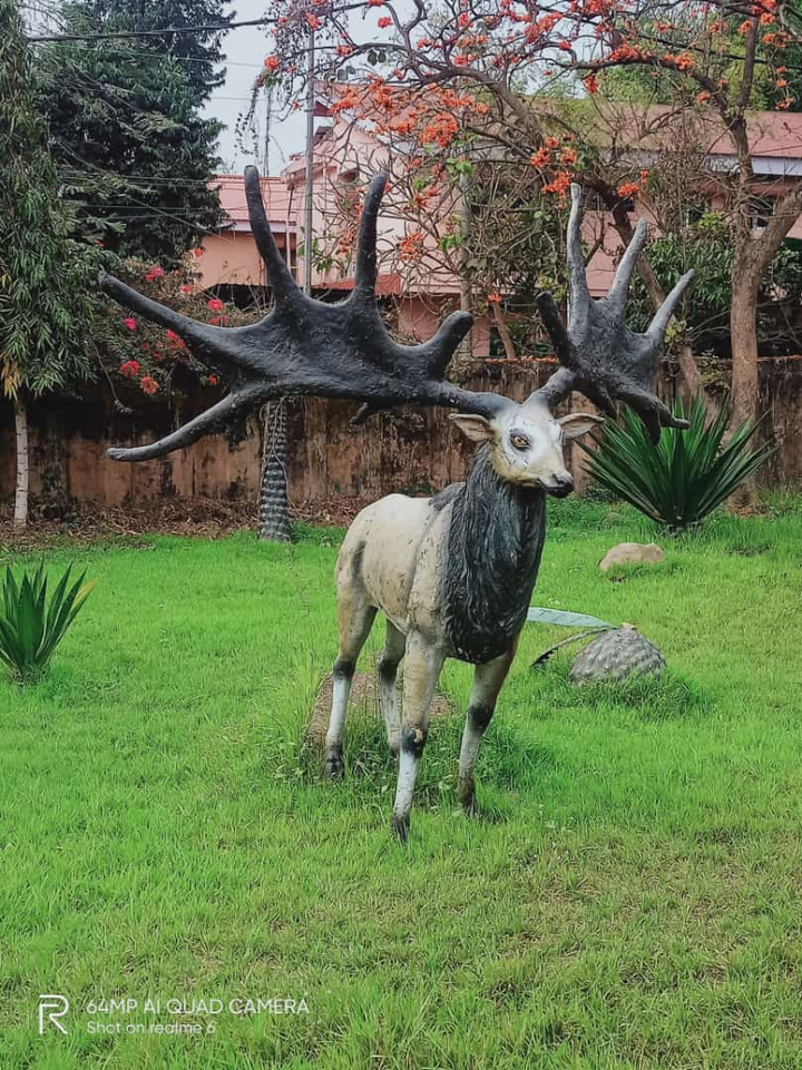 A Deer made by stone