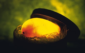 Mango 3