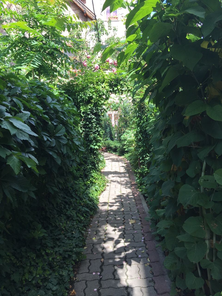 Follow the path