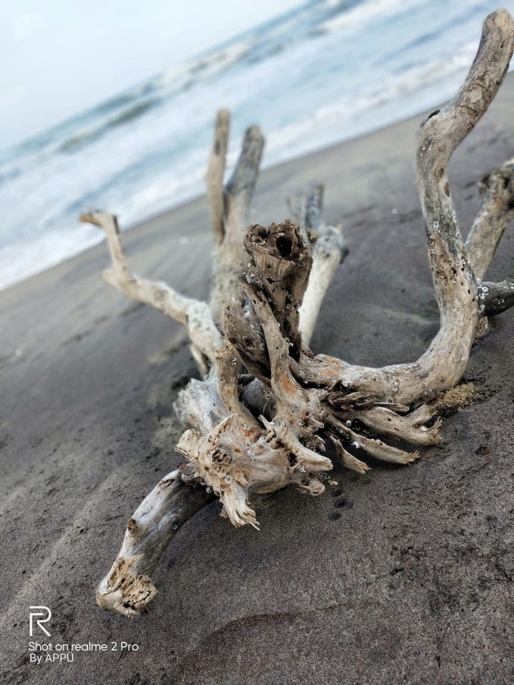 sea
