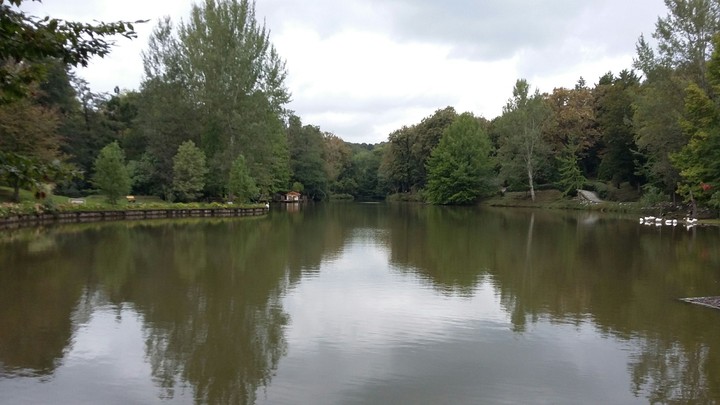 nice  place