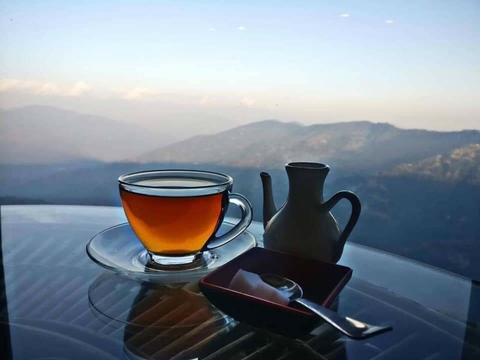 #tea#usa #photographylovers #nature #travel