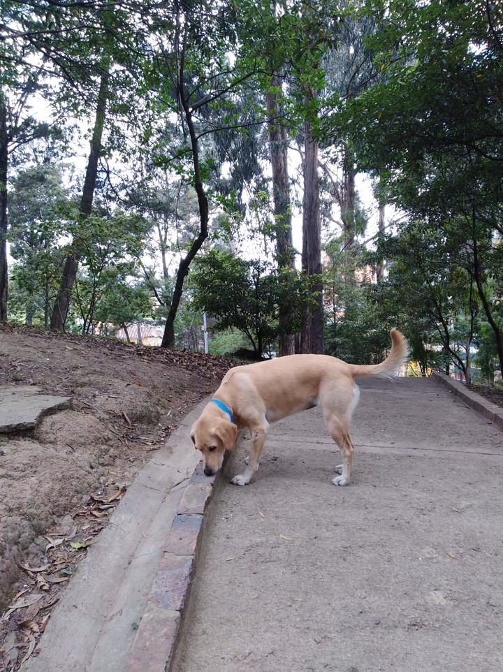 Martina en el parque