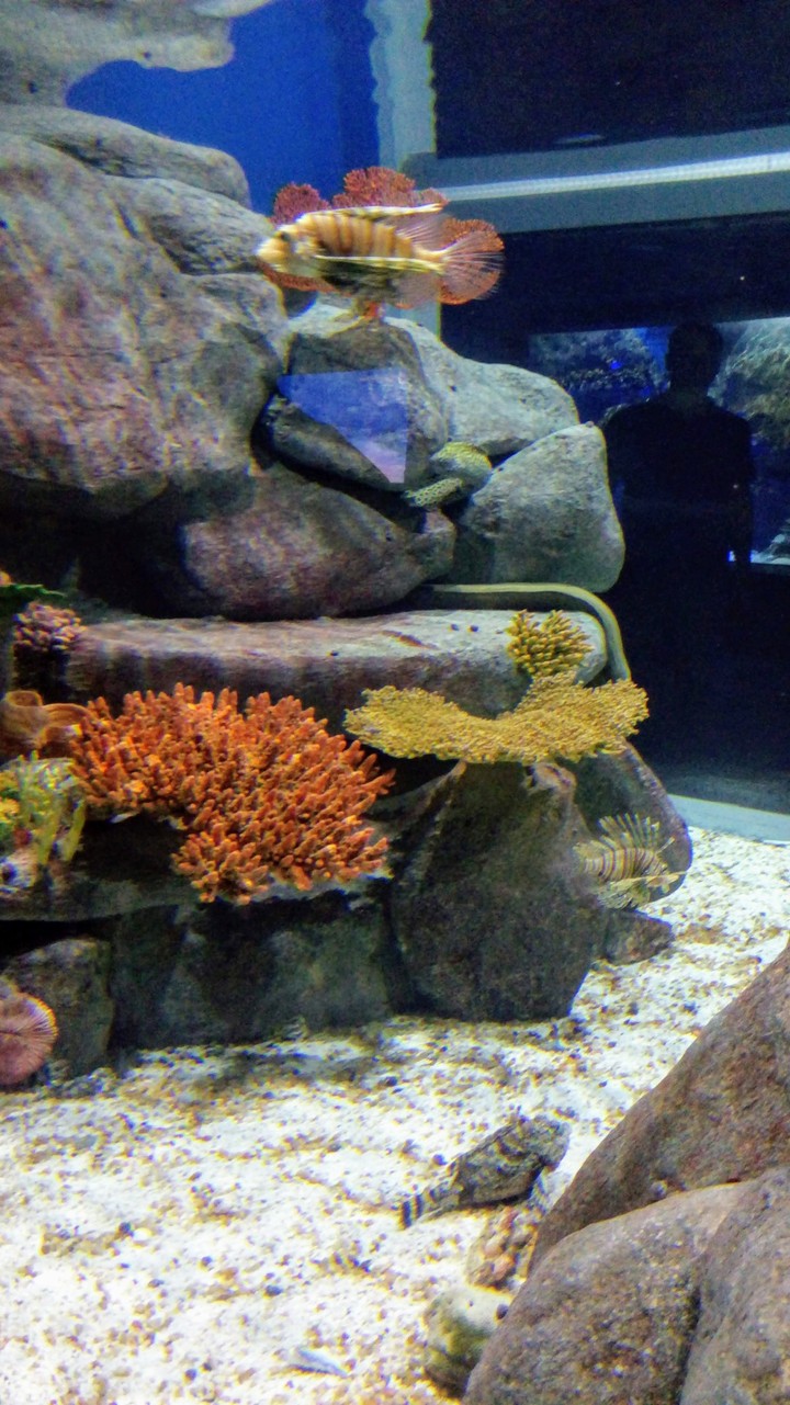 AquaRio