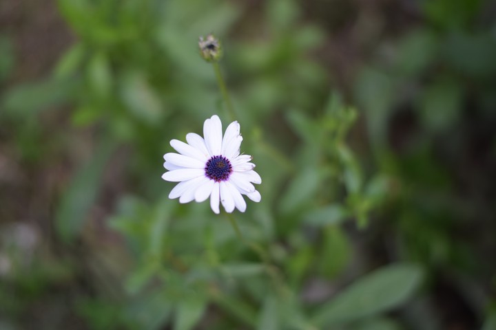 Nature's own beauty!