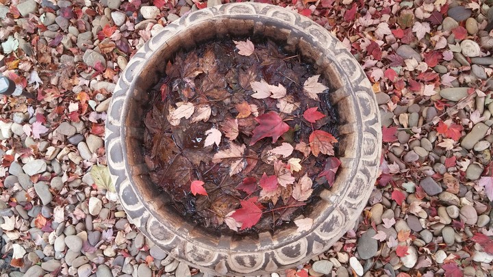 fall