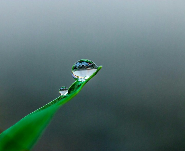 a small raindrops on grass life.
