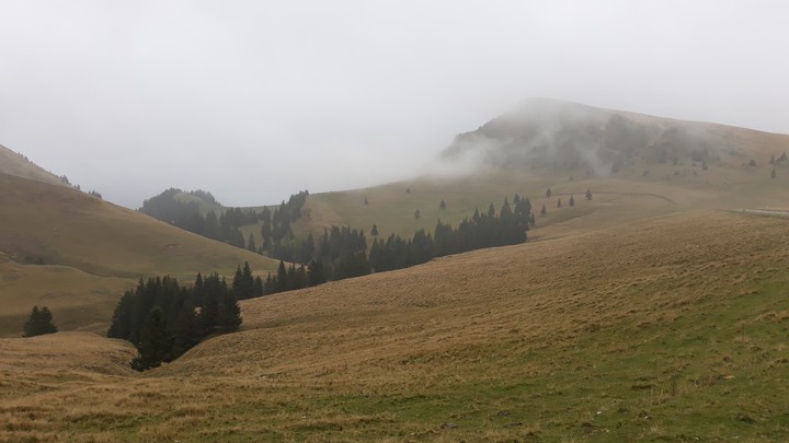 mountains*
