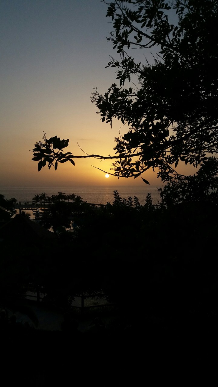 Holiday