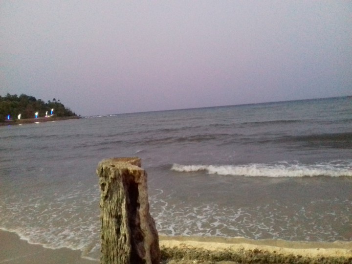 seashore