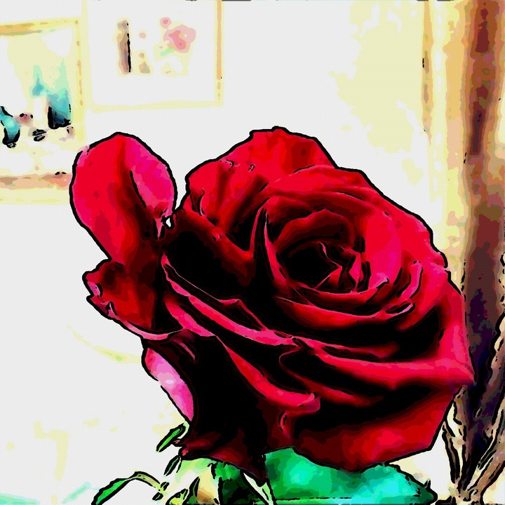 rose
