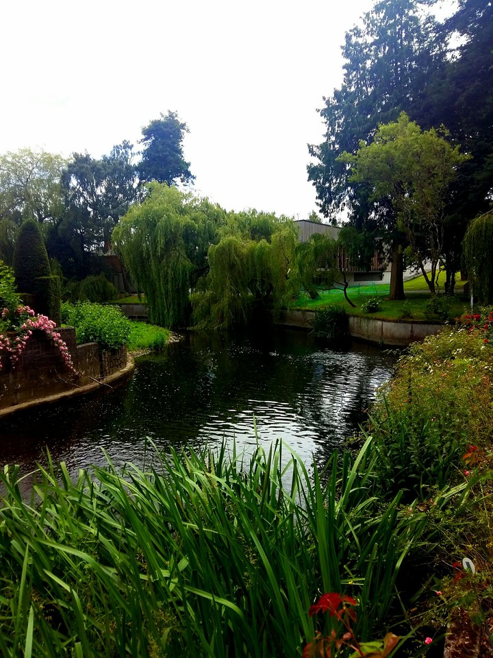 calm day