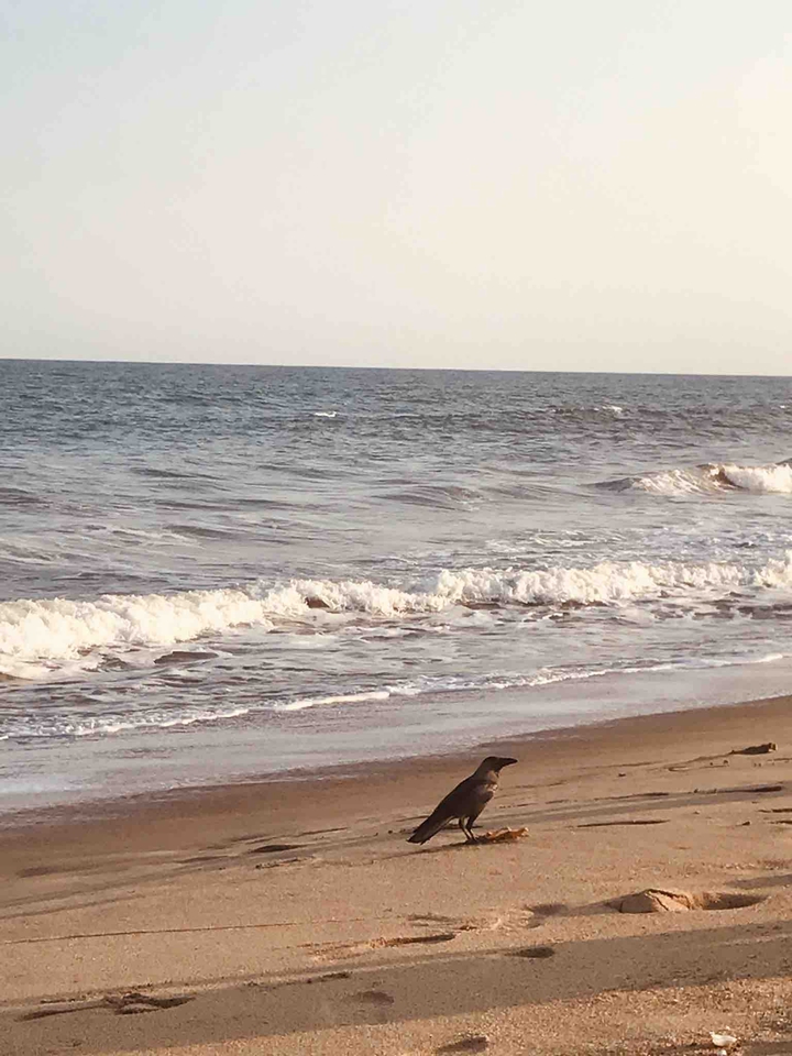 crowatbeach