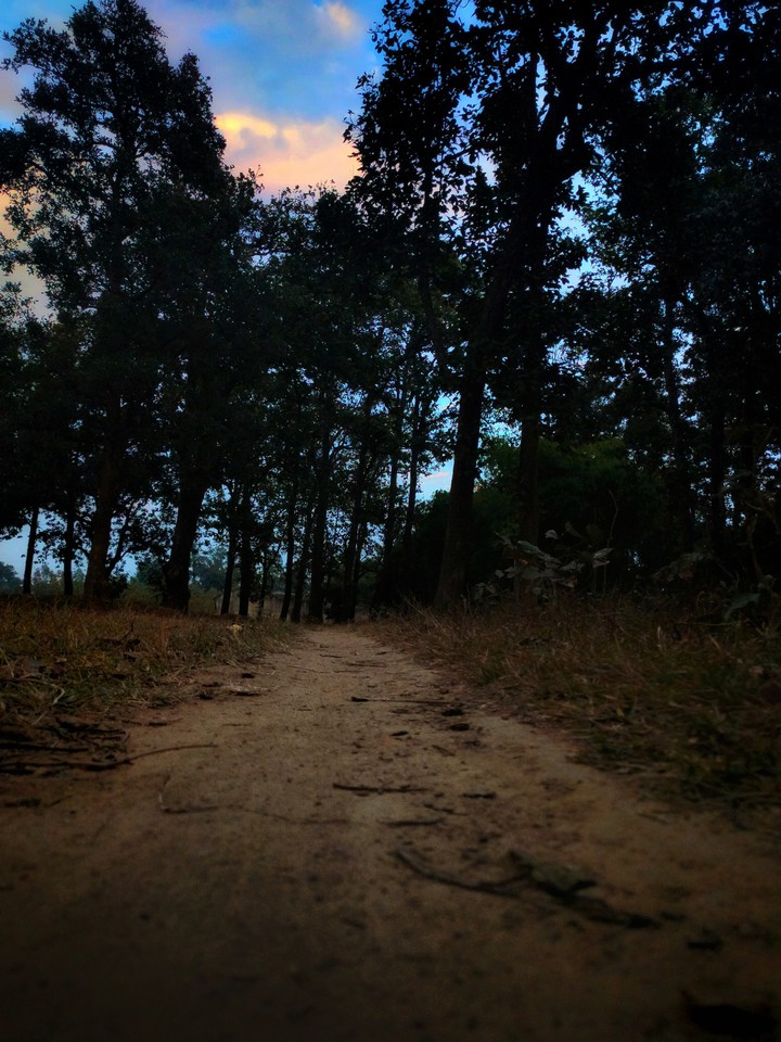 evening