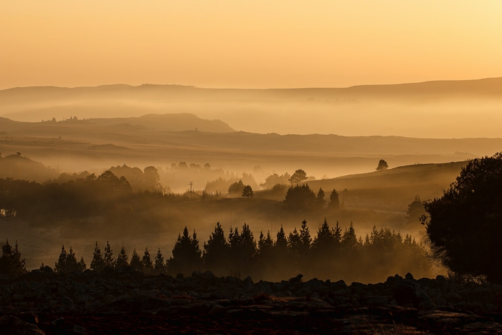 The horizon