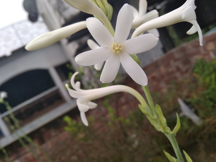 click by me !!!