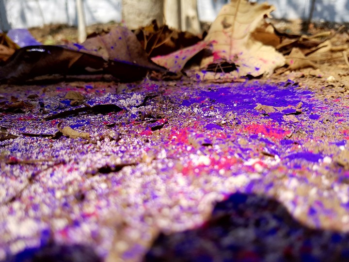Colours