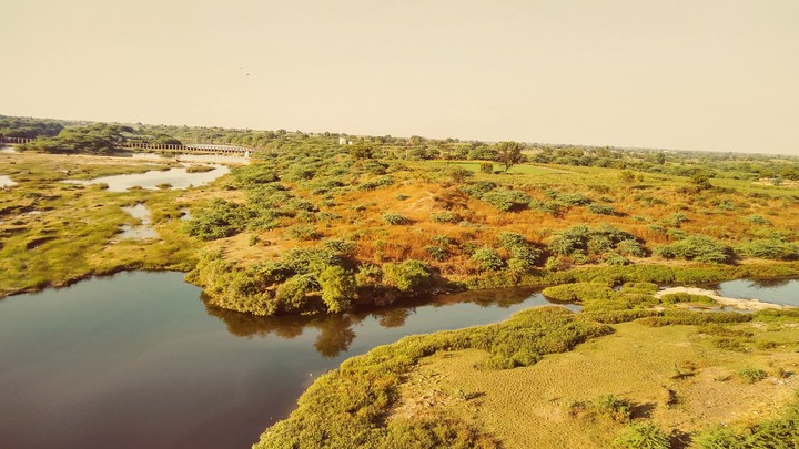 India nature