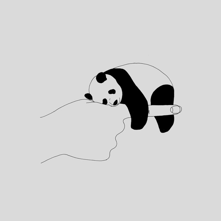 A cute Sleepy Panda on a finger.
