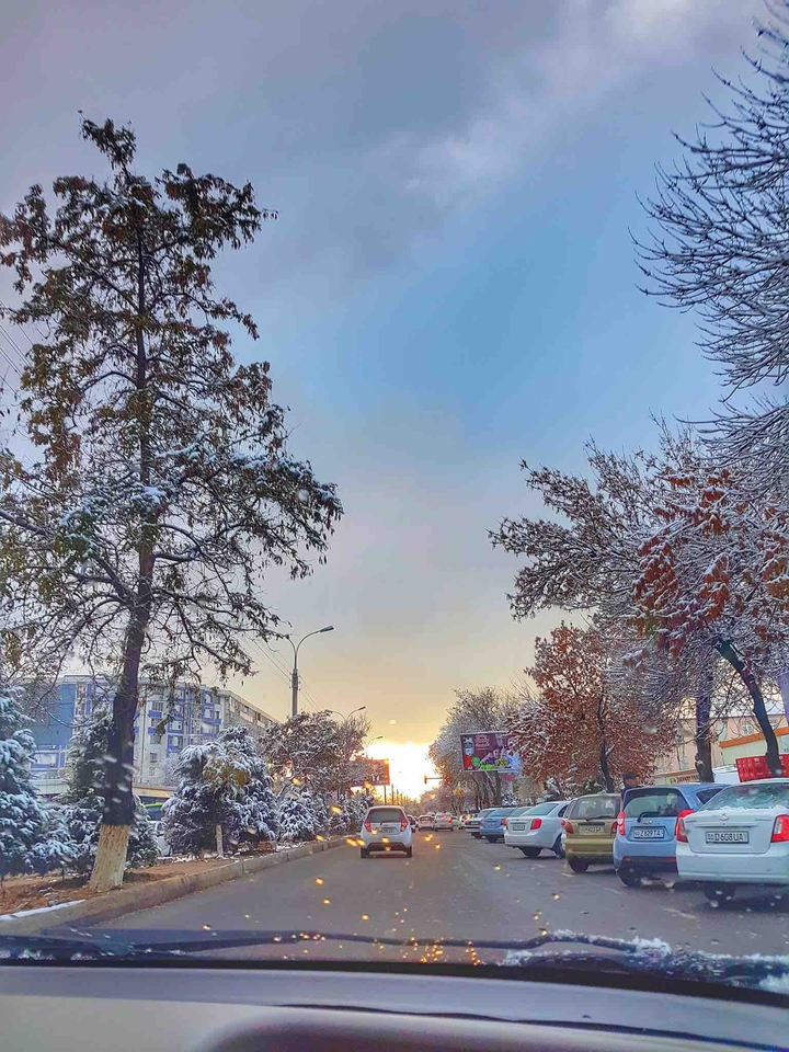 winter