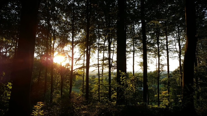 South Limburg landscape