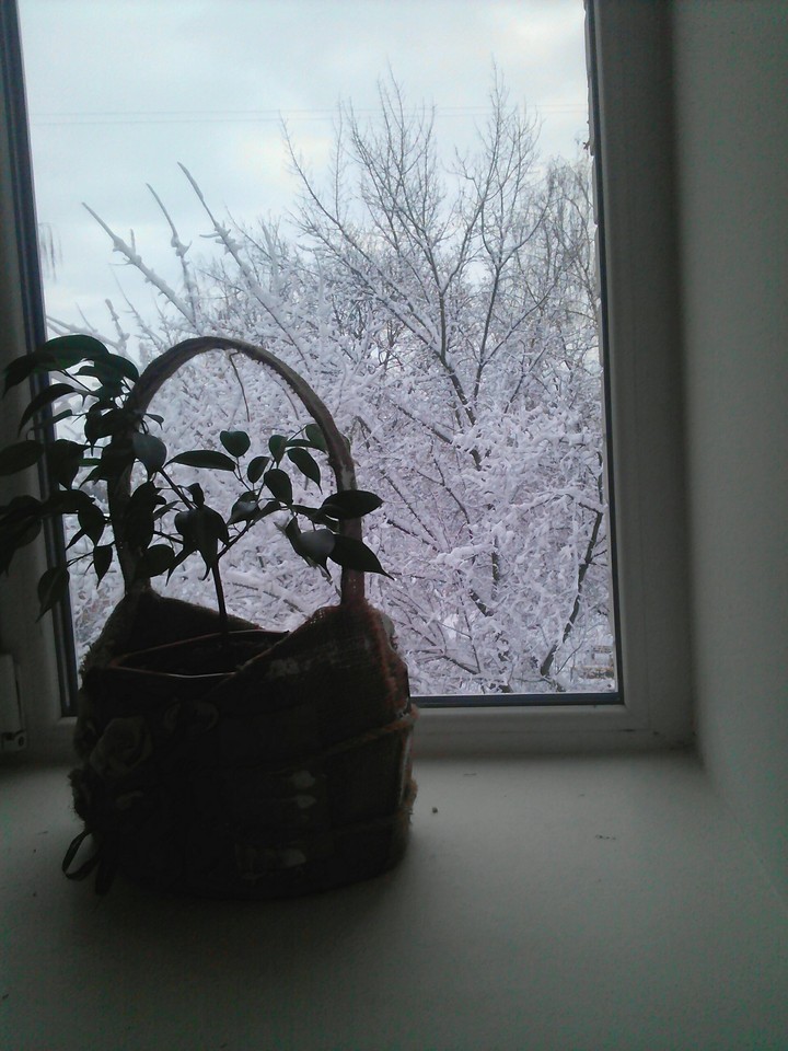Winter