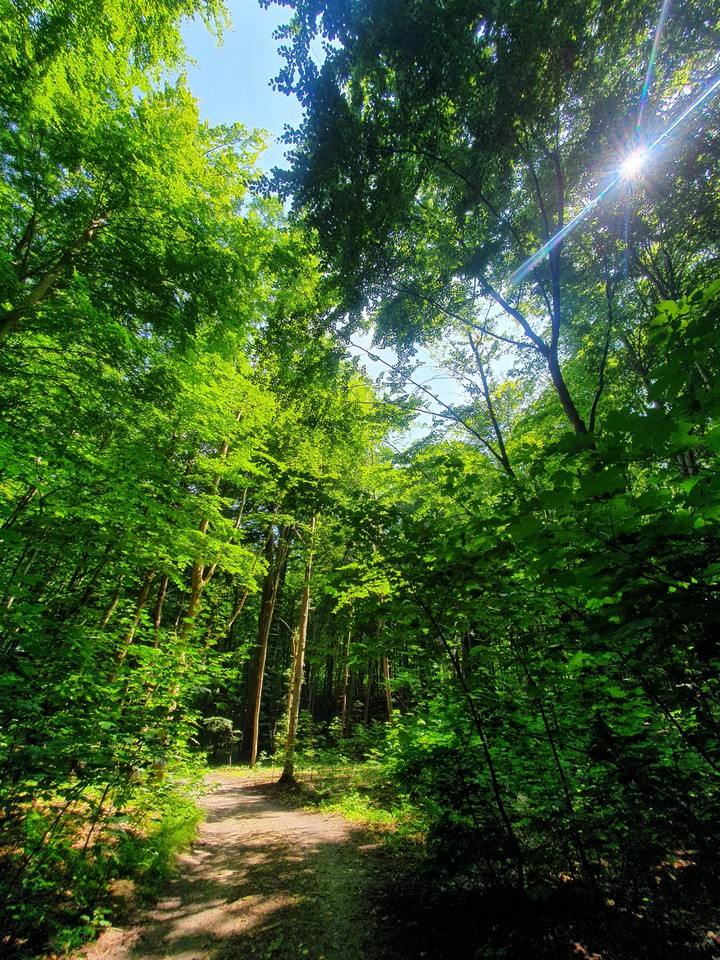 The right path?