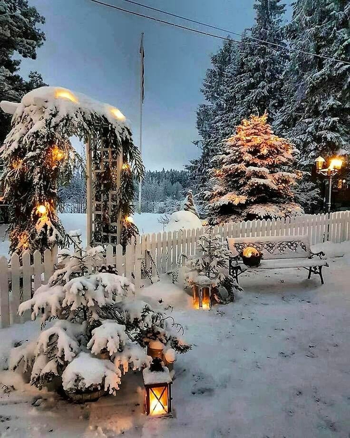 ❄