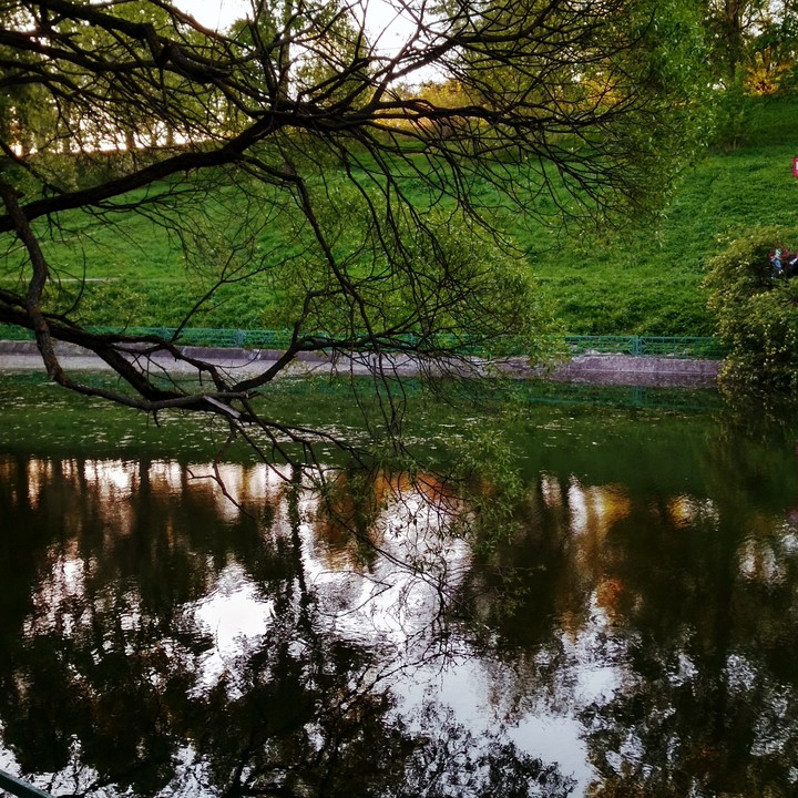 nature