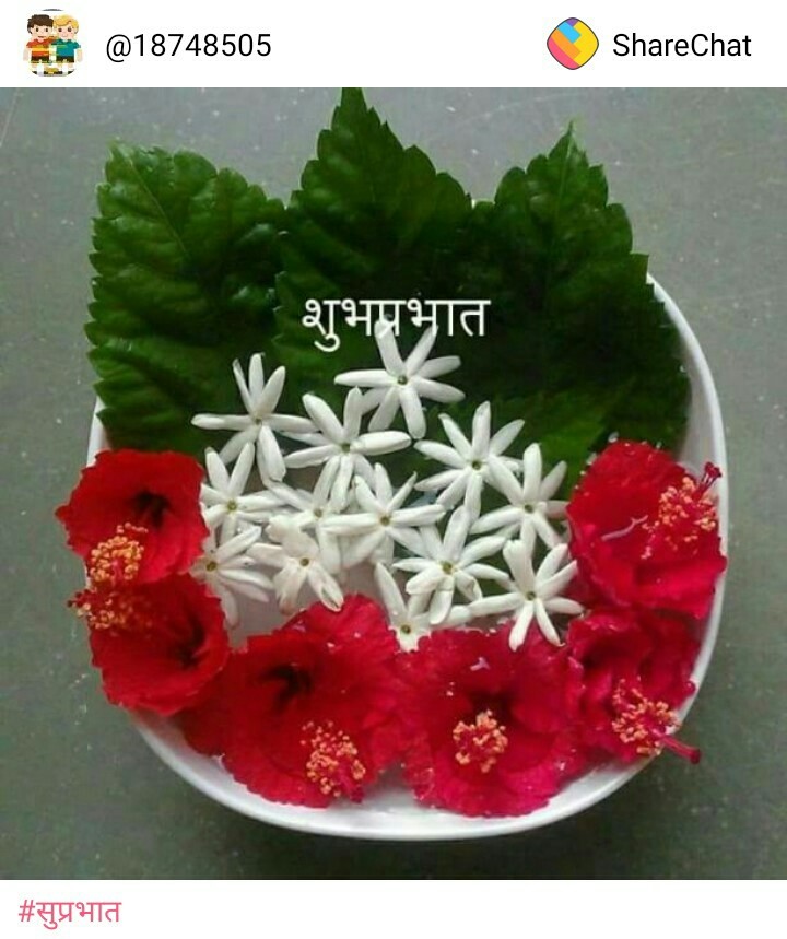 good morning